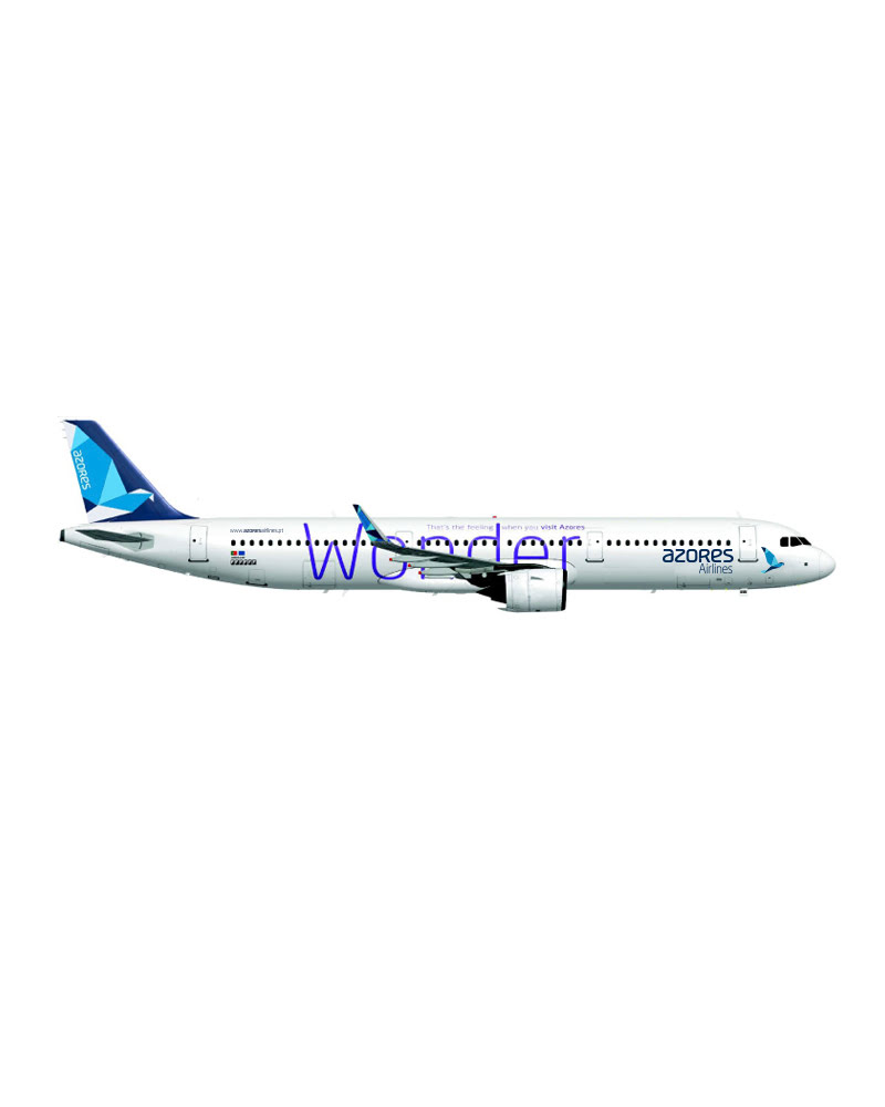 Azores Airlines aircraft with logo