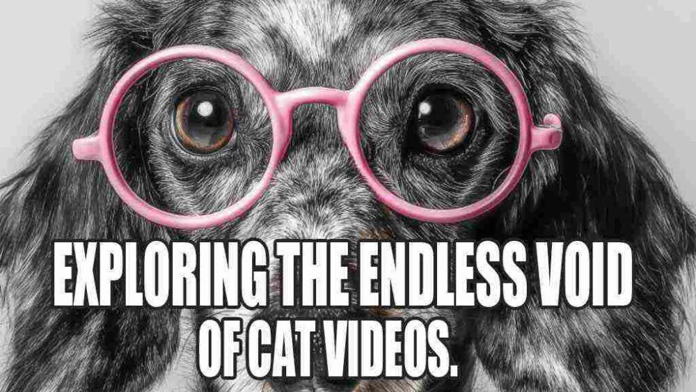 exploring the endless void one cat videos meme 
