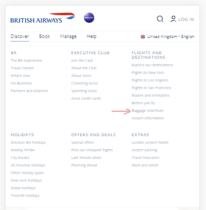 Can I Buy Extra Baggage On British Airways? 2025