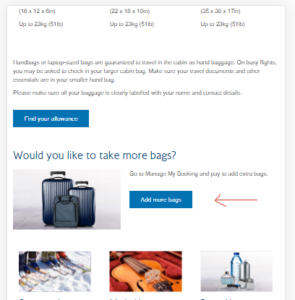 Can I Buy Extra Baggage On British Airways? 2025