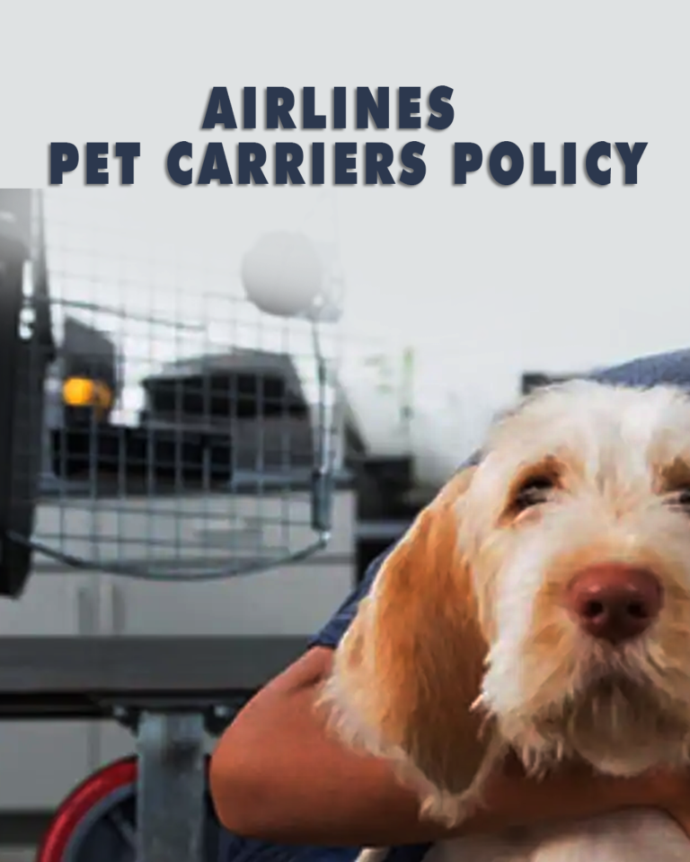 How Strict Are Airlines About Pet Carriers? TRAVELCLOSELY