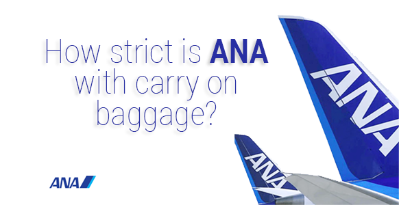 ana carry on luggage