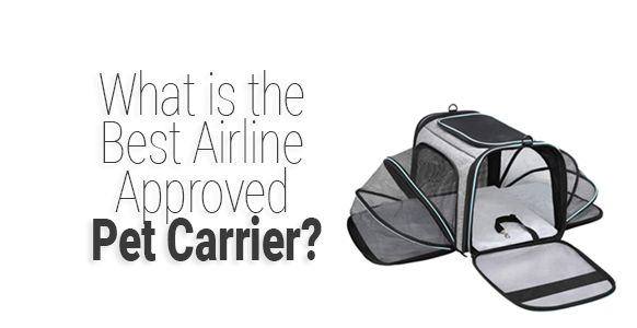 Airline Approved Pet Carriers-002