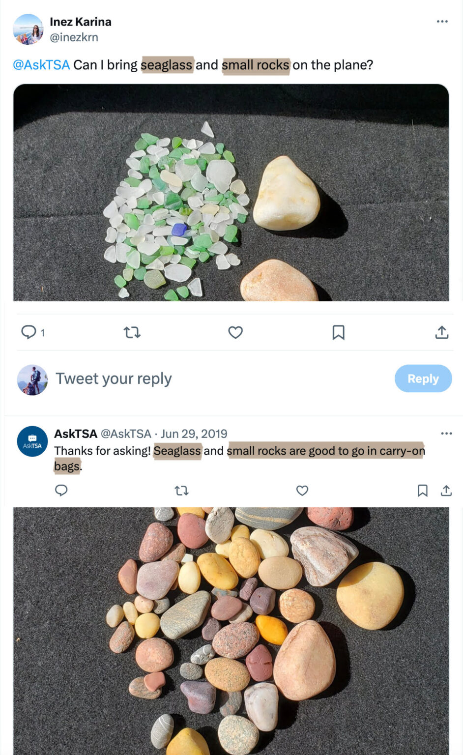 Can You Bring Rocks On a Plane? Domestic Vs International