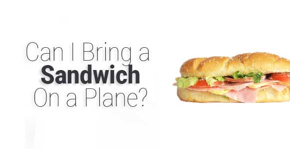 Can I Bring a Sandwich On a Plane-01