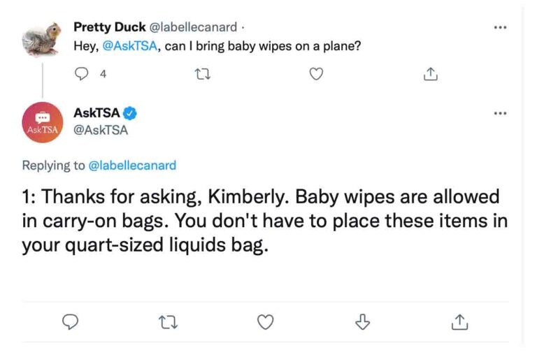 Can You Take Baby Wipes On a Plane? 2026 (The Ultimate Guide ...
