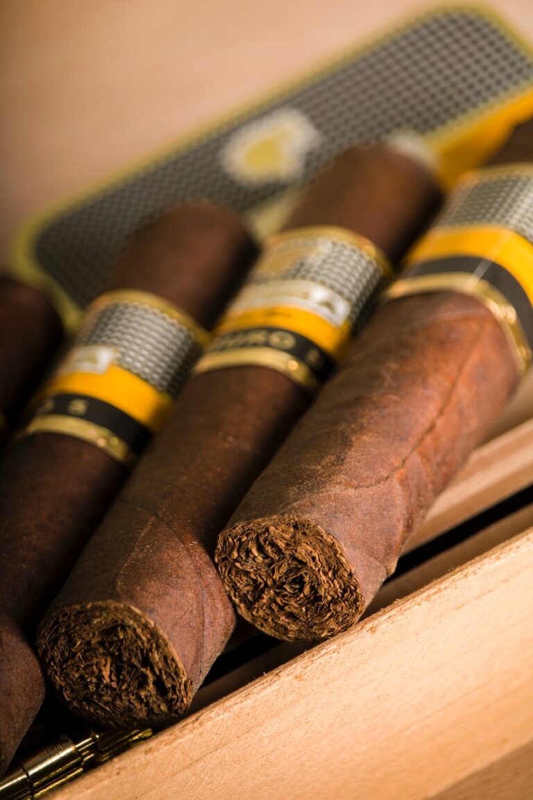 can-you-bring-cigars-on-a-plane-tsa-rules-2025