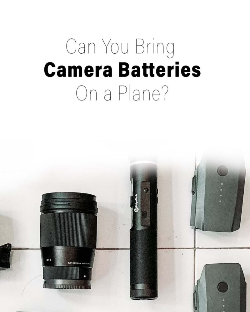 Can You Bring Camera Batteries On a Plane? 2025 - Travelclosely