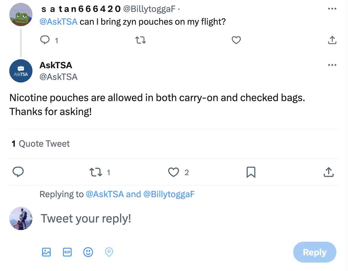 Can You Bring Zyn On a Plane? TSA Rules TRAVELCLOSELY