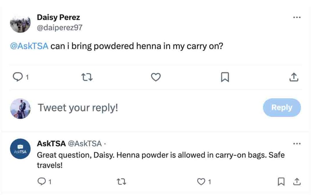 Can You Bring Henna On a Plane? TSA Rules 2026